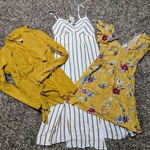 Mustard Yellow Variety Lot